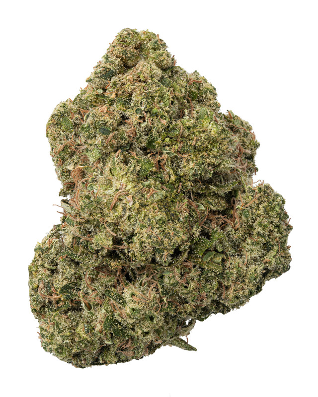 White Rhino