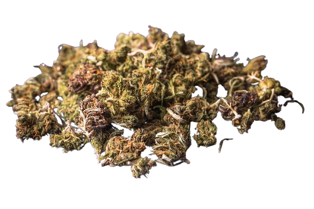 Granddaddy Purple