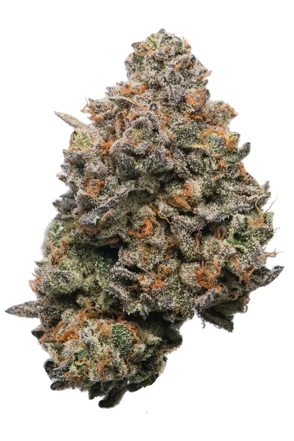 Blue Ox