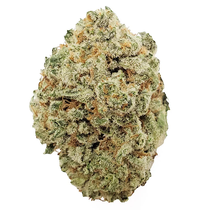 Citrus Tsunami LSO