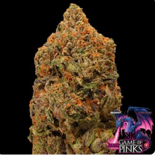 Pink Draco
